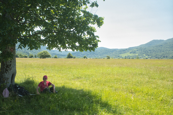 HR2020-0113.jpg HR2020-0113.jpg