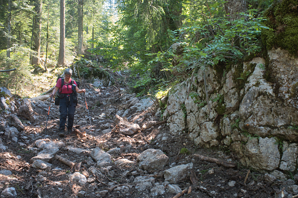 HR2020-0138.jpg HR2020-0138.jpg