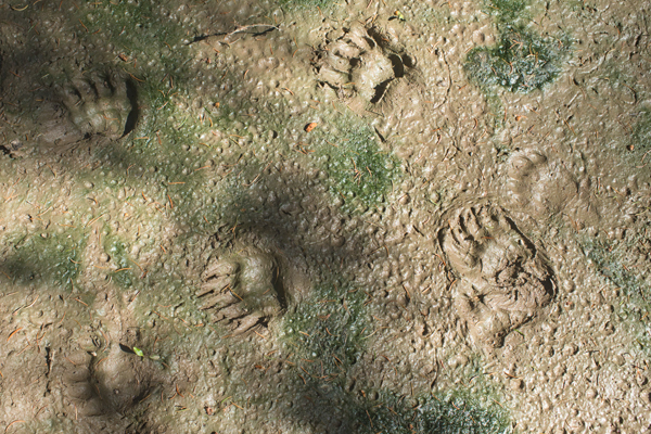 HR2020-0142.jpg HR2020-0142.jpg