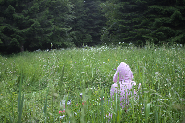 HR2020-0147.jpg HR2020-0147.jpg