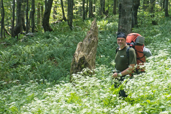 HR2020-A0016.jpg HR2020-A0016.jpg