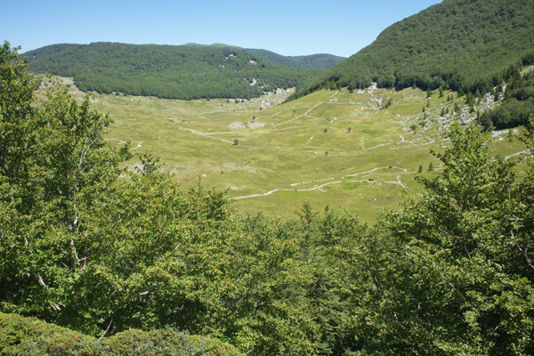 HR2020-0326.jpg HR2020-0326.jpg