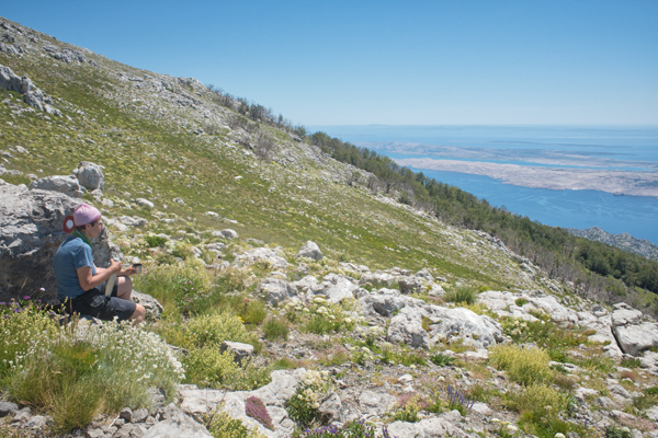 HR2020-0329.jpg HR2020-0329.jpg