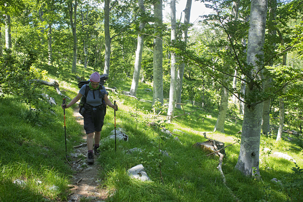 HR2020-0356.jpg HR2020-0356.jpg