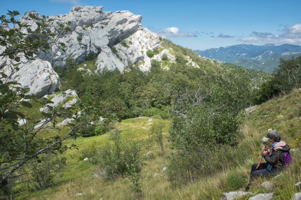 HR2020-0391.jpg HR2020-0391.jpg