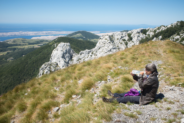 HR2020-0393.jpg HR2020-0393.jpg