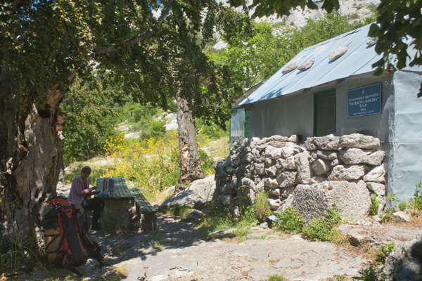 HR2020-0443.jpg HR2020-0443.jpg