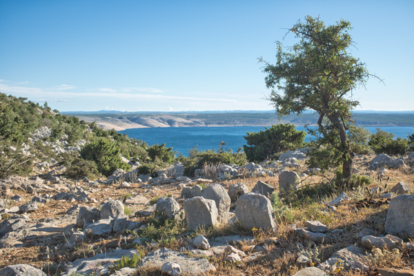 HR2020-0501.jpg HR2020-0501.jpg