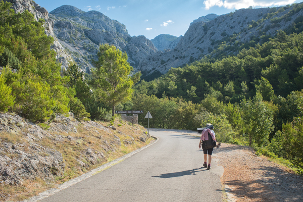 HR2020-0546.jpg HR2020-0546.jpg