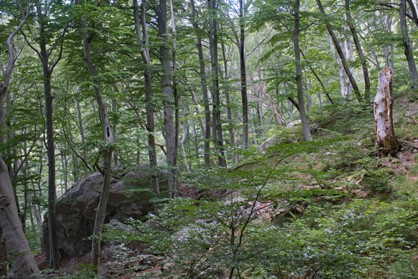 HR2020-0550.jpg HR2020-0550.jpg