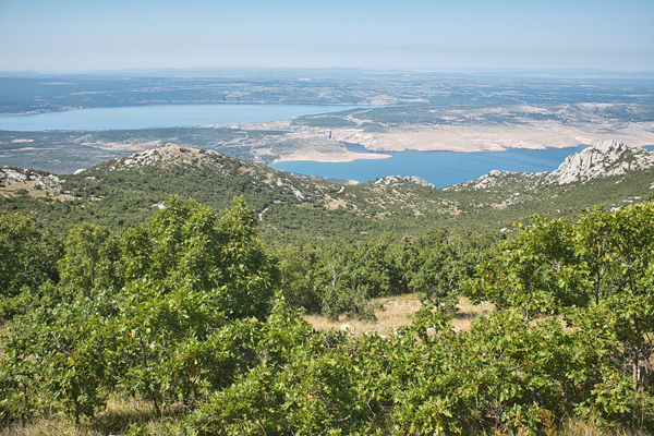 HR2020-0621.jpg HR2020-0621.jpg