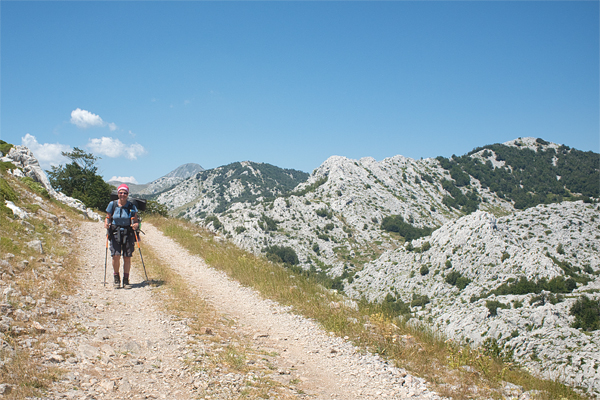 HR2020-0622.jpg HR2020-0622.jpg