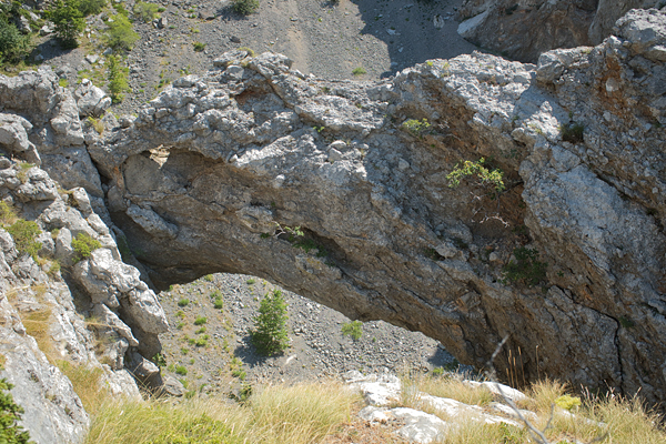 HR2020-0626.jpg HR2020-0626.jpg