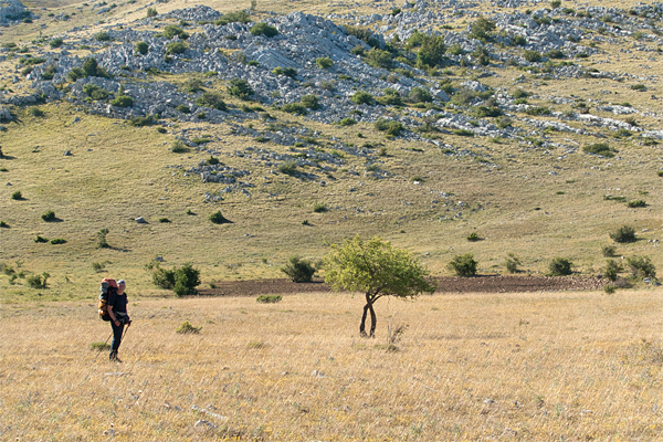 HR2020-A0078.jpg HR2020-A0078.jpg