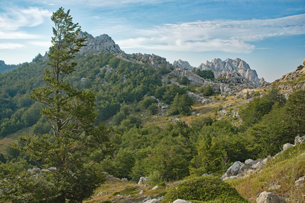 HR2020-0642.jpg HR2020-0642.jpg