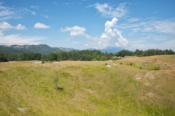 HR2020-0646.jpg HR2020-0646.jpg