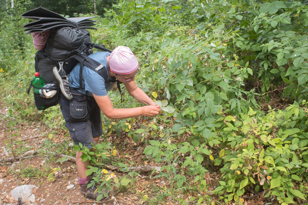 HR2020-0650.jpg HR2020-0650.jpg