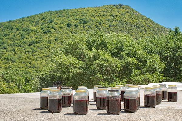 HR2020-0724.jpg HR2020-0724.jpg