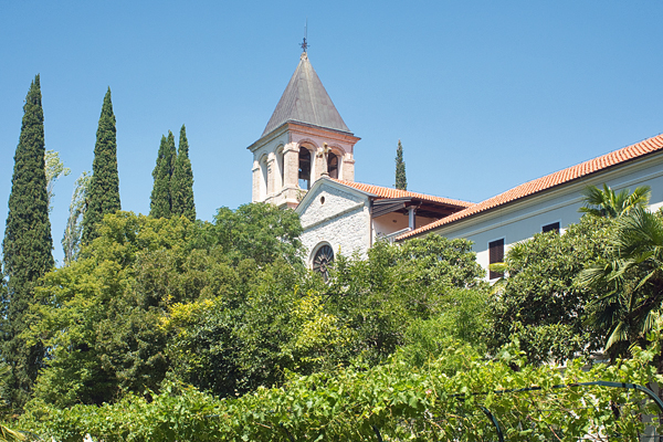 HR2020-0772.jpg HR2020-0772.jpg