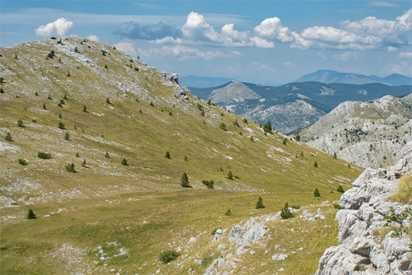 HR2020-0945.jpg HR2020-0945.jpg