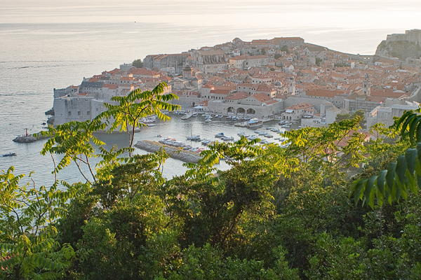 HR2020-1026.jpg HR2020-1026.jpg