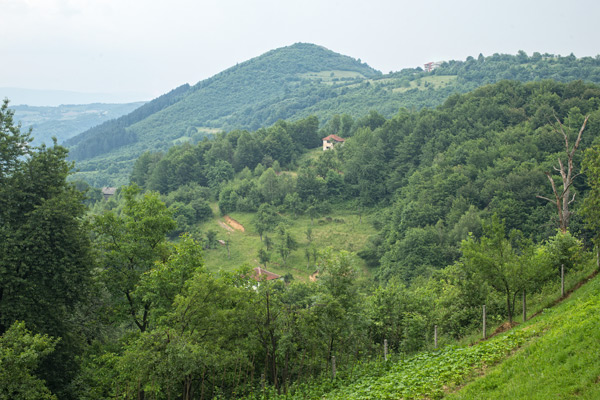 BALKAN2017-0752.jpg BALKAN2017-0752.jpg