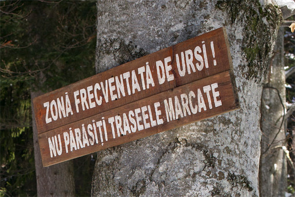 RO2018-099.jpg RO2018-099.jpg
