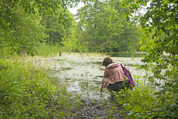 RO2016-004.jpg RO2016-004.jpg