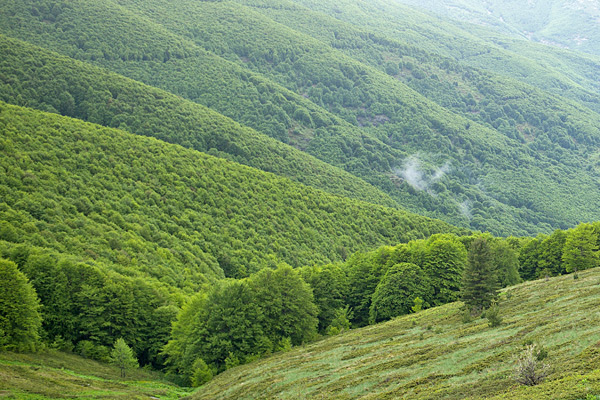 MK2018-174.jpg MK2018-174.jpg