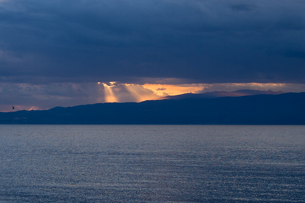 MK2018-296.jpg MK2018-296.jpg