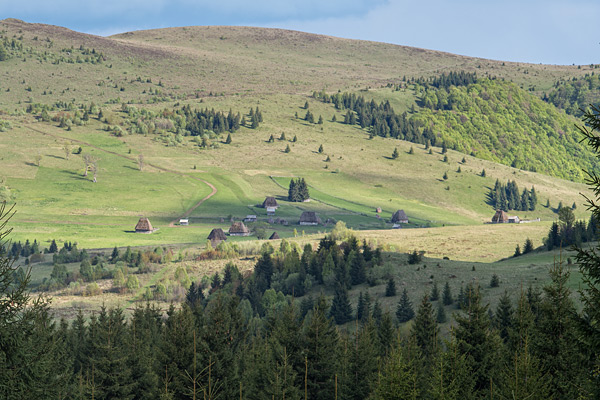 RO2016-041.jpg RO2016-041.jpg