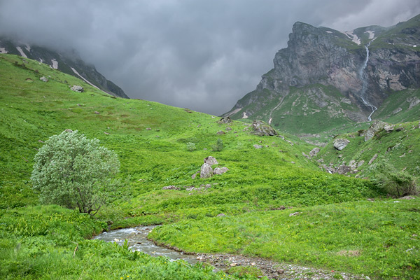 MK2018-744.jpg MK2018-744.jpg