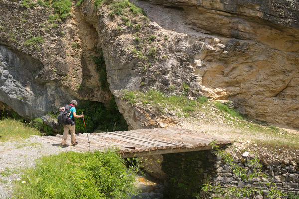 MK2018-750.jpg MK2018-750.jpg