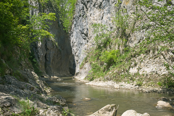 RO2016-128.jpg RO2016-128.jpg