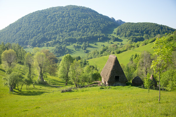 RO2016-141.jpg RO2016-141.jpg