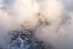 SI2018-106.jpg