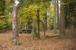 DE2018-0308.jpg DE2018-0308.jpg