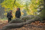 DE2018-0400.jpg DE2018-0400.jpg