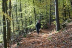 DE2018-A0419.jpg DE2018-A0419.jpg