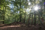 DE2019-A015.jpg