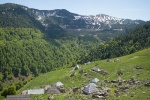 BALKAN2015-0223.jpg