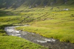 BALKAN2015-0234.jpg