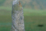 RU2004-028.jpg
