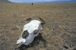 RU2004-127.jpg