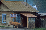 RU2004-233.jpg