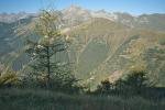 FR2024-021.jpg