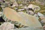 FR2024-086.jpg