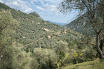 FR2024-203.jpg