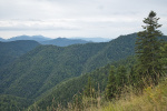 FR2024-224.jpg