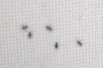 FR2024-254.jpg